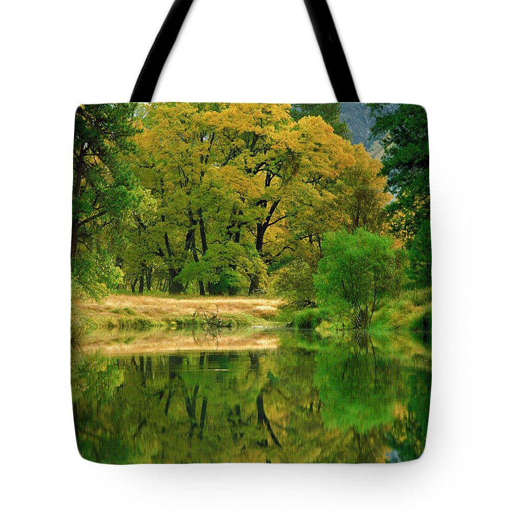 Scenics Tote Bag featuring the photograph Reflection Of Trees In Merced River by Medioimages/photodisc
