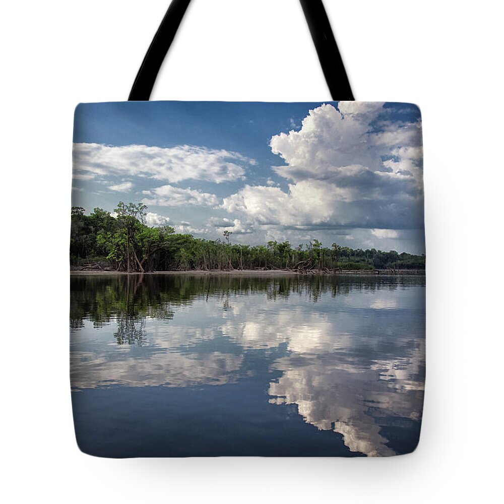 Scenics Tote Bag featuring the photograph Reflections In Amazon River by By Kim Schandorff