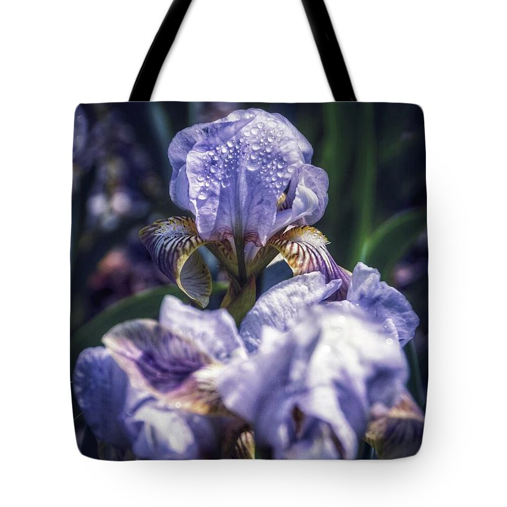 Iris Tote Bag featuring the photograph Renewed by Shannon Kelly