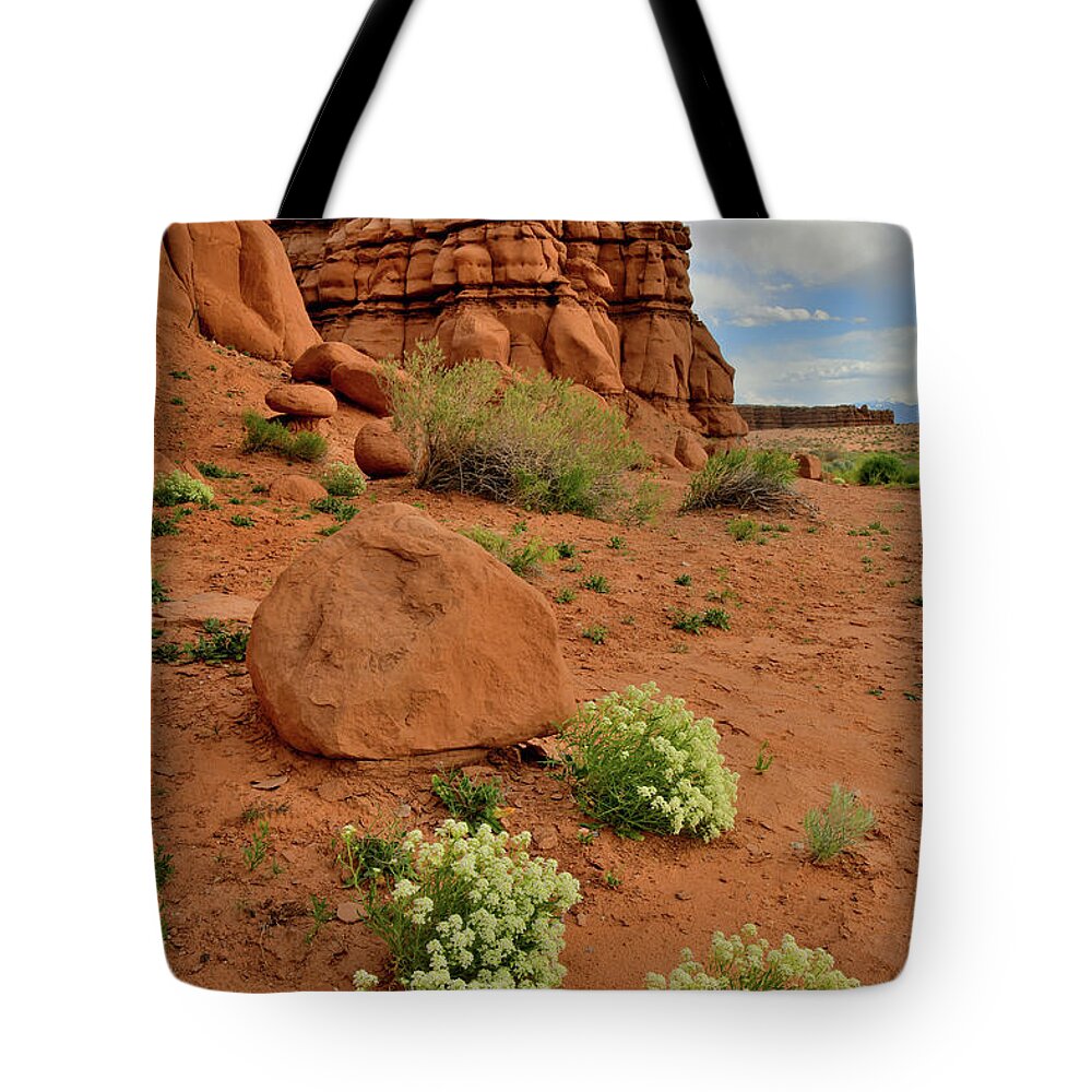 Ruby Mountain Tote Bag featuring the photograph Rest Area near Hanksville Utah by Ray Mathis