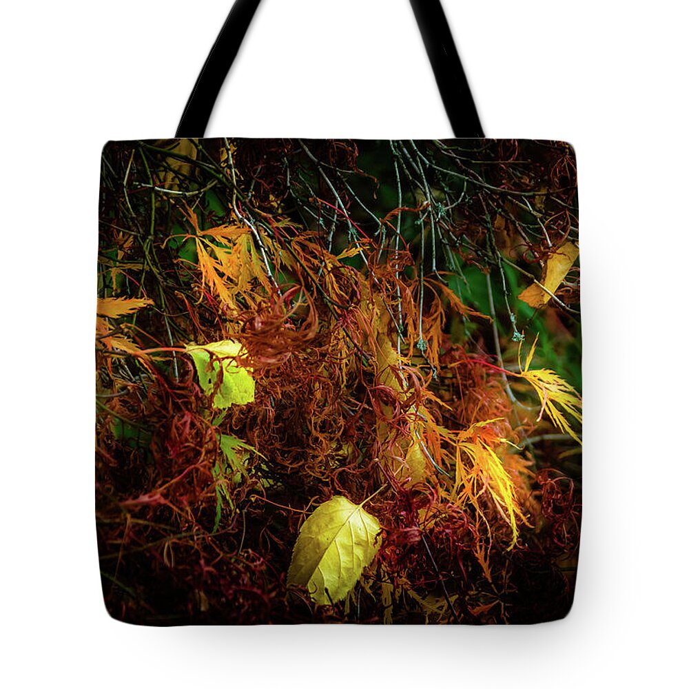 Tree Tote Bag featuring the photograph Resting on Golden by Christopher Maxum