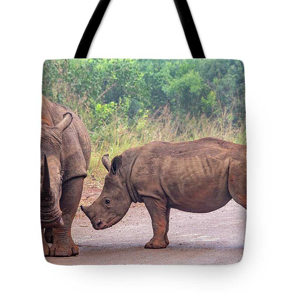Africa Tote Bag featuring the photograph Rhino Roadblock in Hluhluwe by Marcy Wielfaert