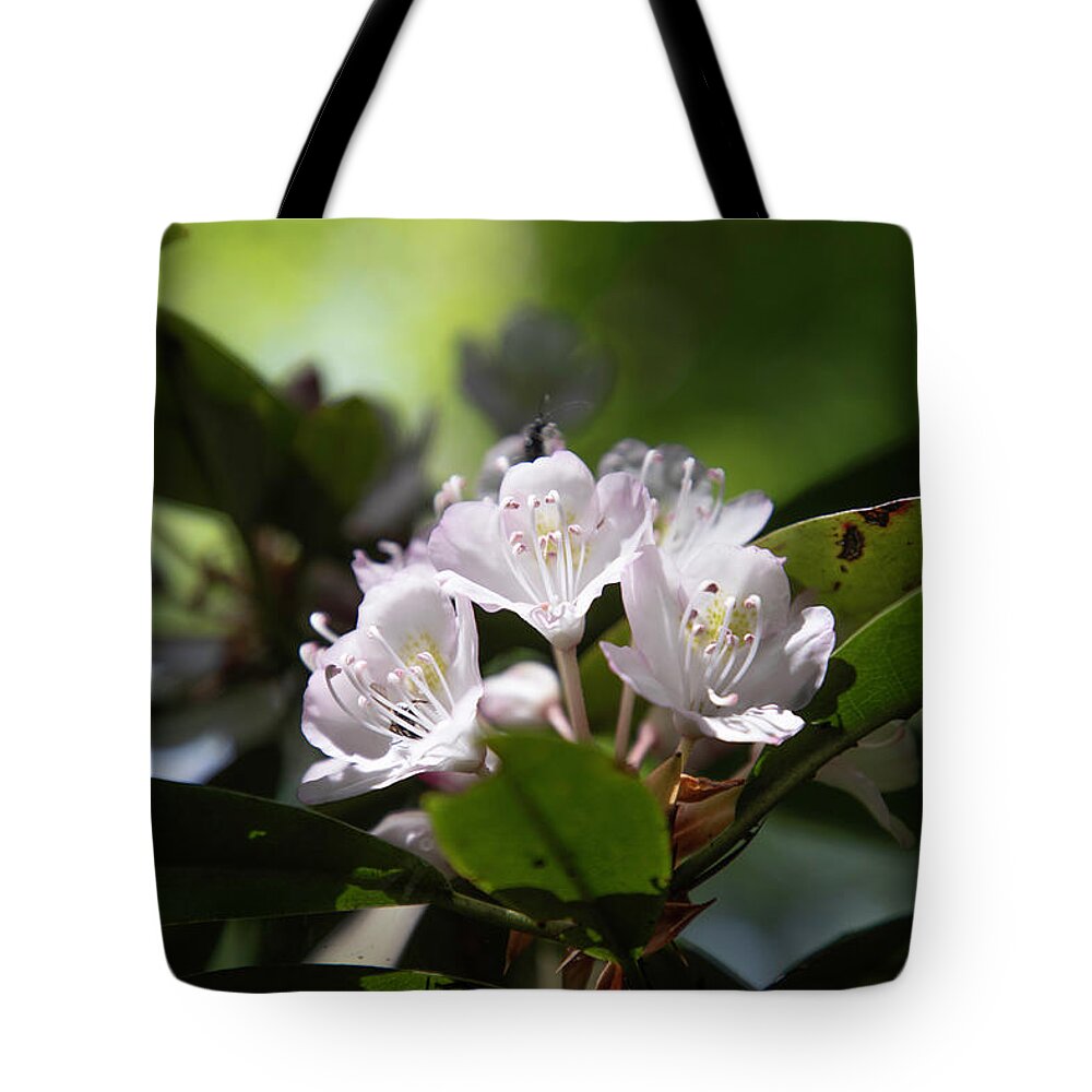 Art Prints Tote Bag featuring the photograph Rhododendron 02 by Nunweiler Photography