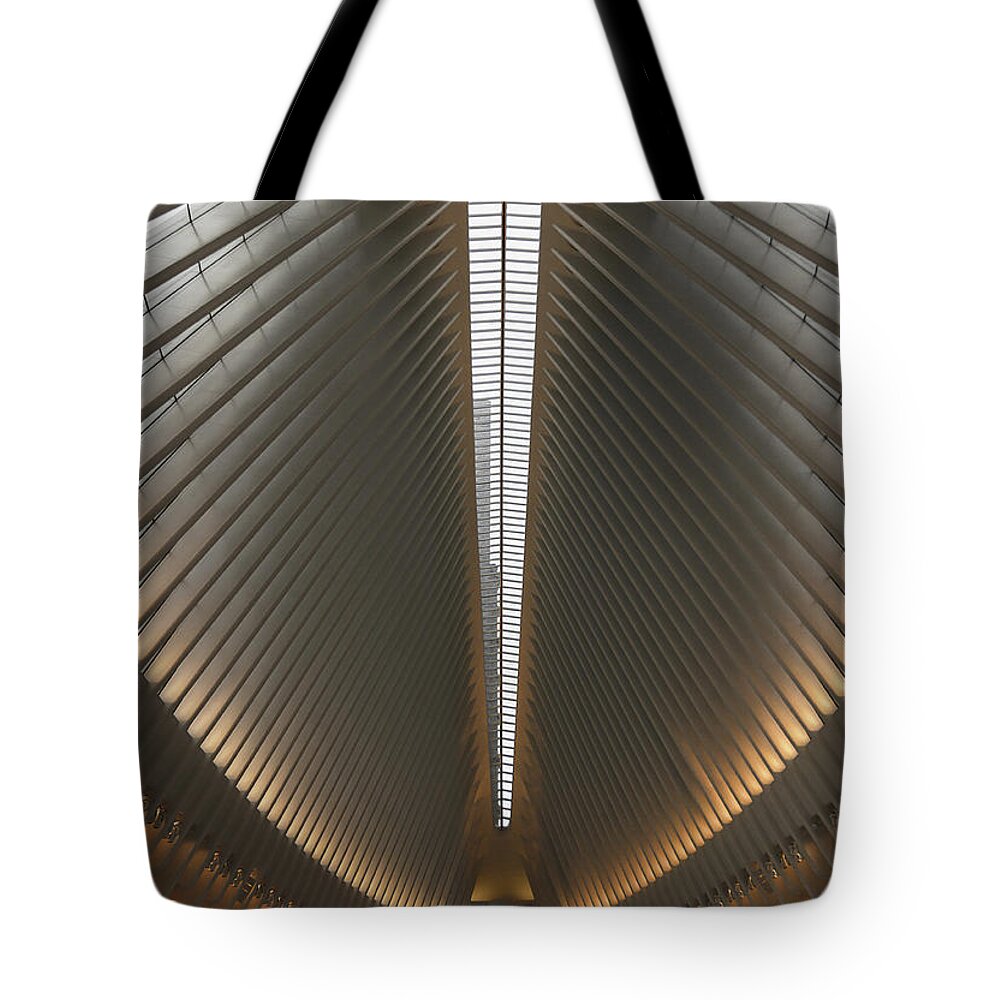 Ribcage Tote Bag featuring the photograph Ribcage by Peter Hull