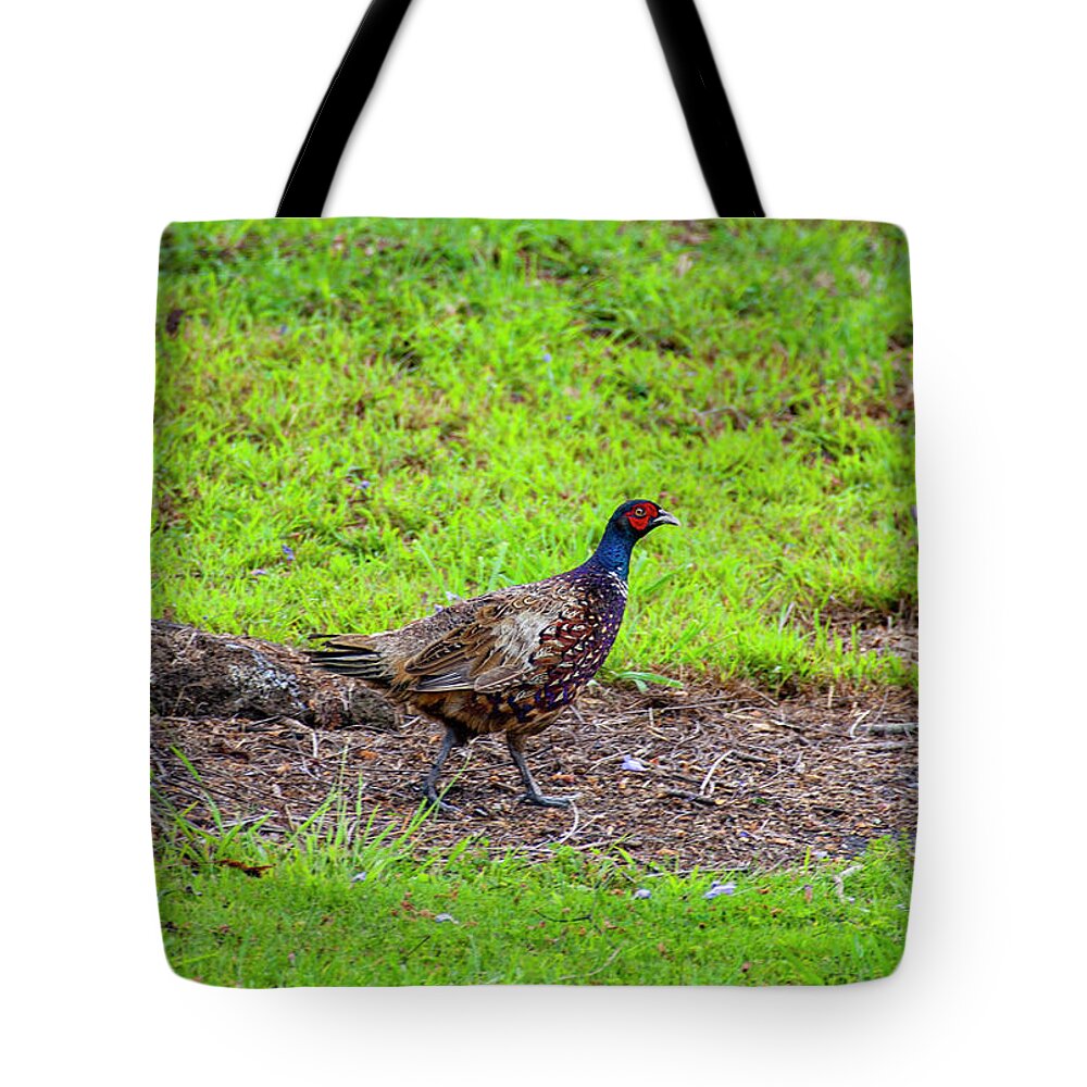 Pheasant Tote Bag featuring the photograph Ring Necked Pheasant by Anthony Jones