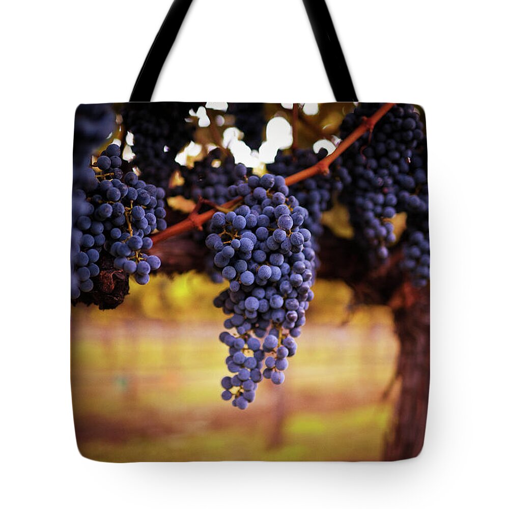 Saturated Color Tote Bag featuring the photograph Ripe Grapes by Thepalmer