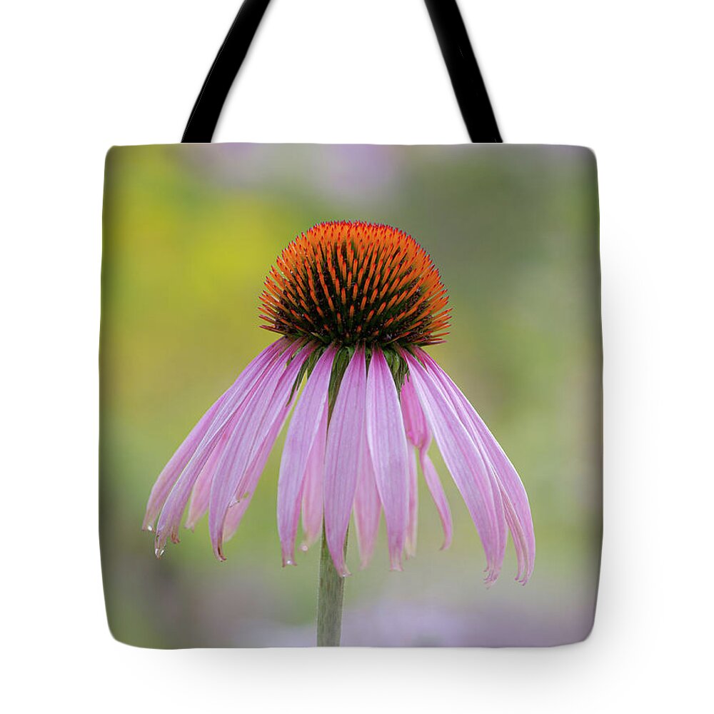 Flowers Tote Bag featuring the photograph Rising Above by Dale Kincaid