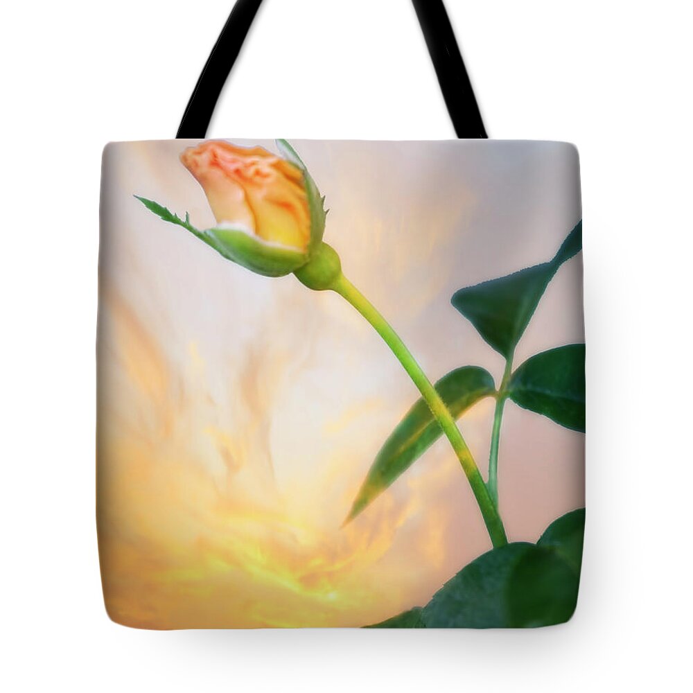 Flower Tote Bag featuring the photograph Rising with the Sun by Joan Bertucci