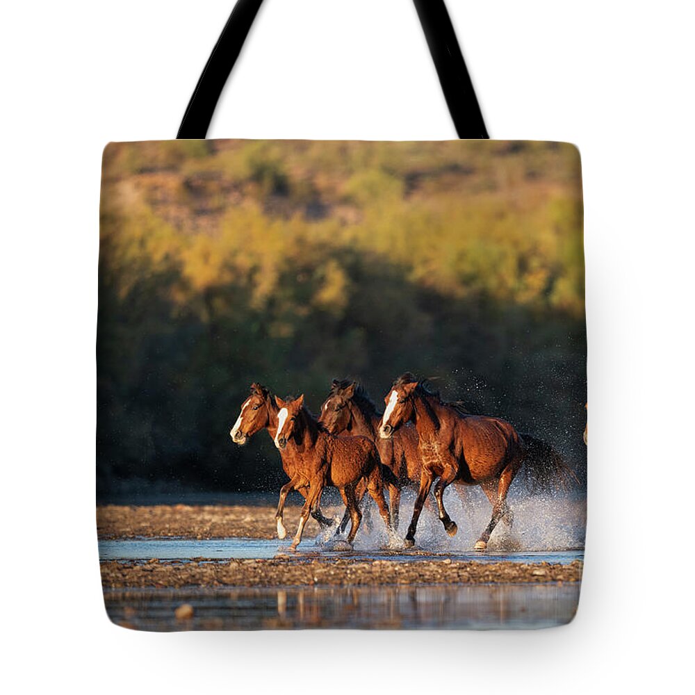 Salt River Wild Horses Tote Bag featuring the photograph River Run 3 by Shannon Hastings