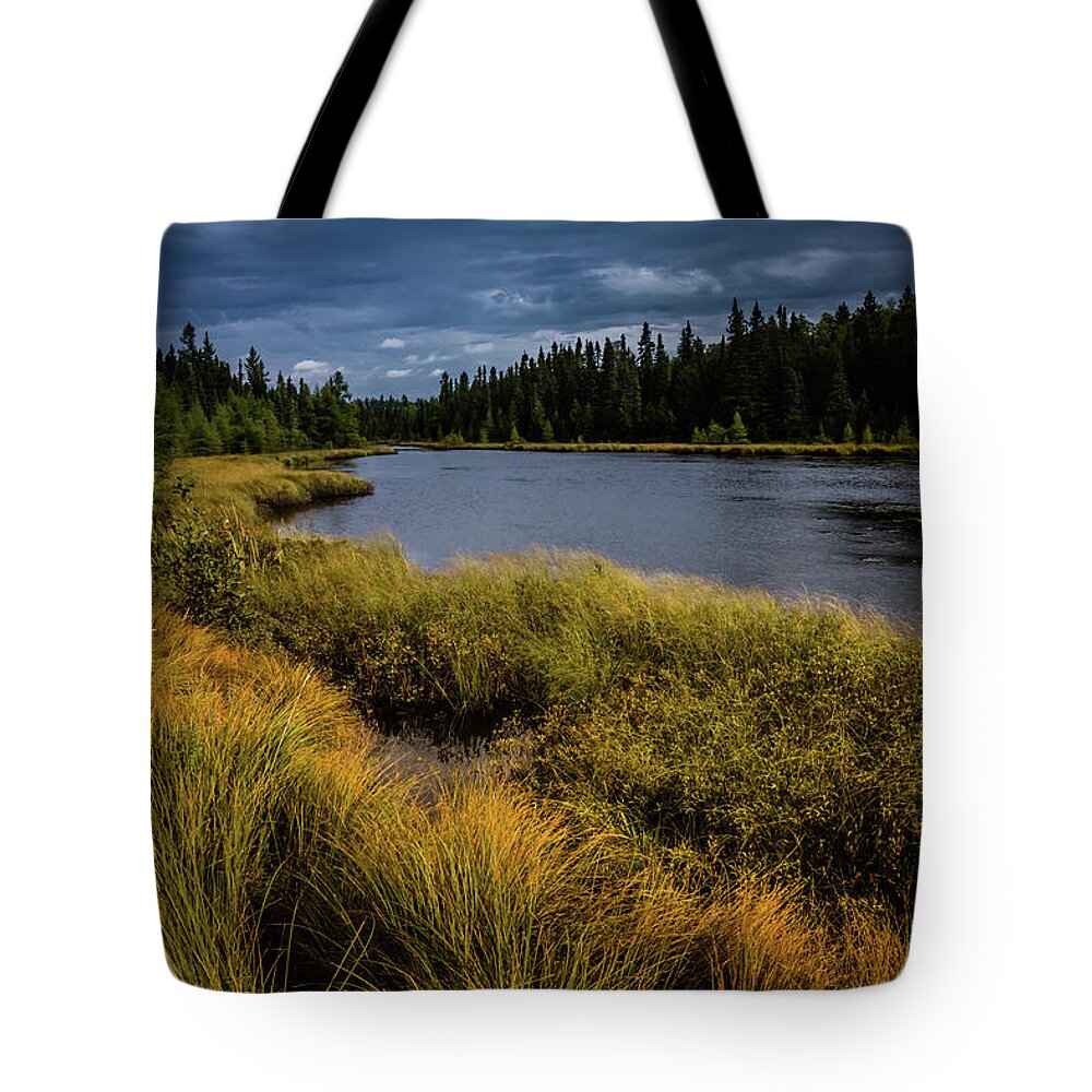 River Tote Bag featuring the photograph Baptism by Cynthia Dickinson