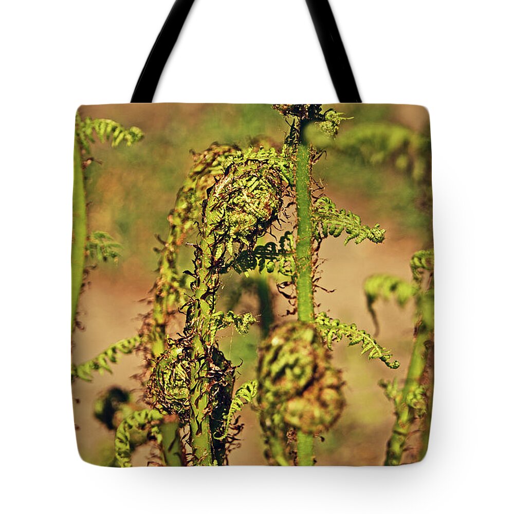 Rivington Tote Bag featuring the photograph RIVINGTON Terraced Gardens. Fern Frond. by Lachlan Main