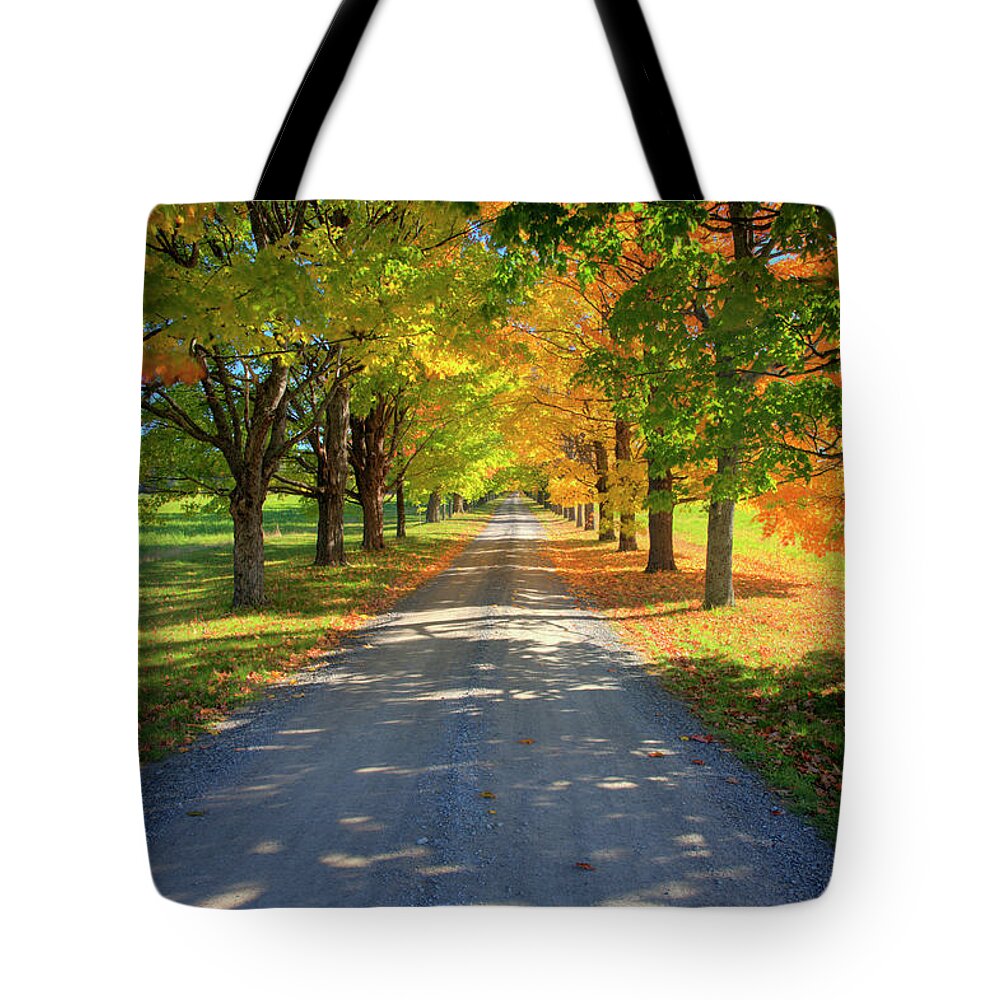 Scenics Tote Bag featuring the photograph Road Among The Trees 1 by Cworthy