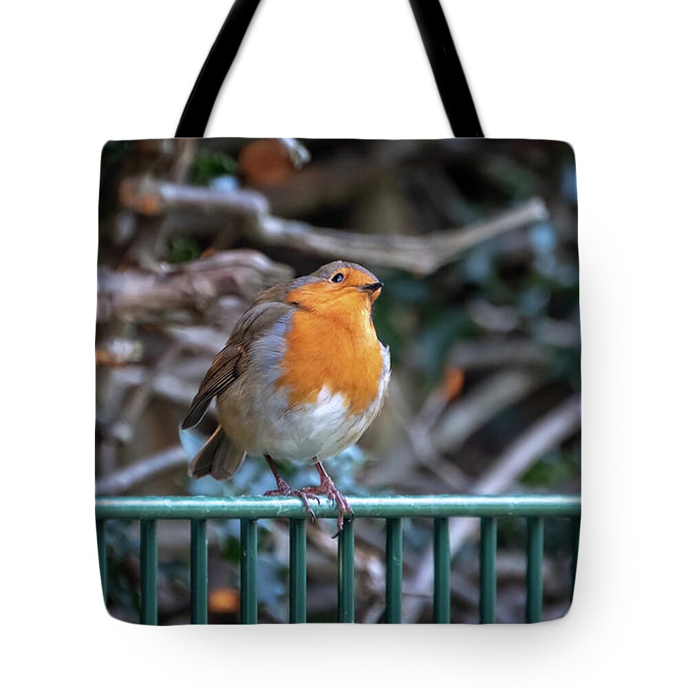 Robin Tote Bag featuring the photograph Robin perched on a rail by Jane Rix