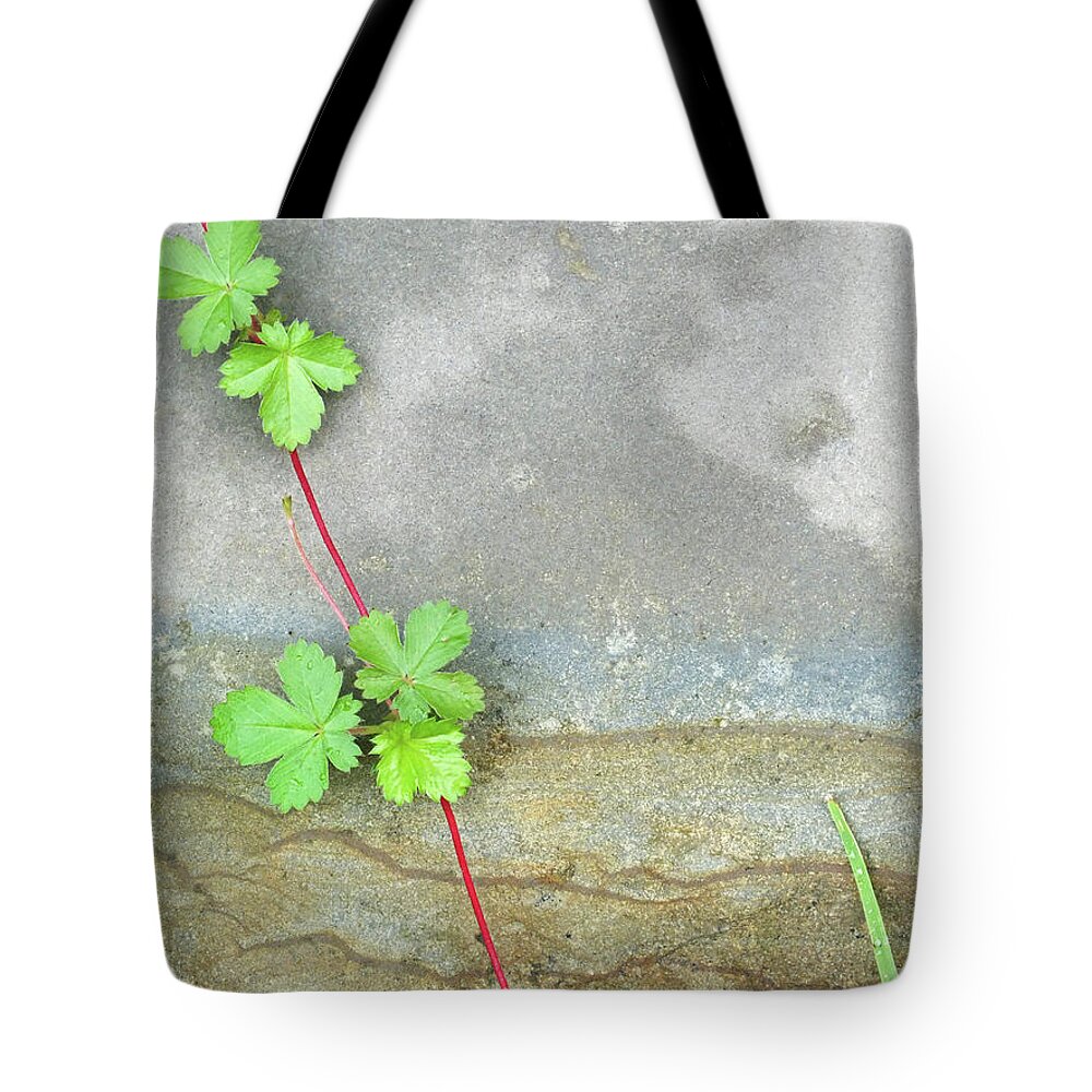 Duane Mccullough Tote Bag featuring the photograph Rock Stain Abstract 4 by Duane McCullough