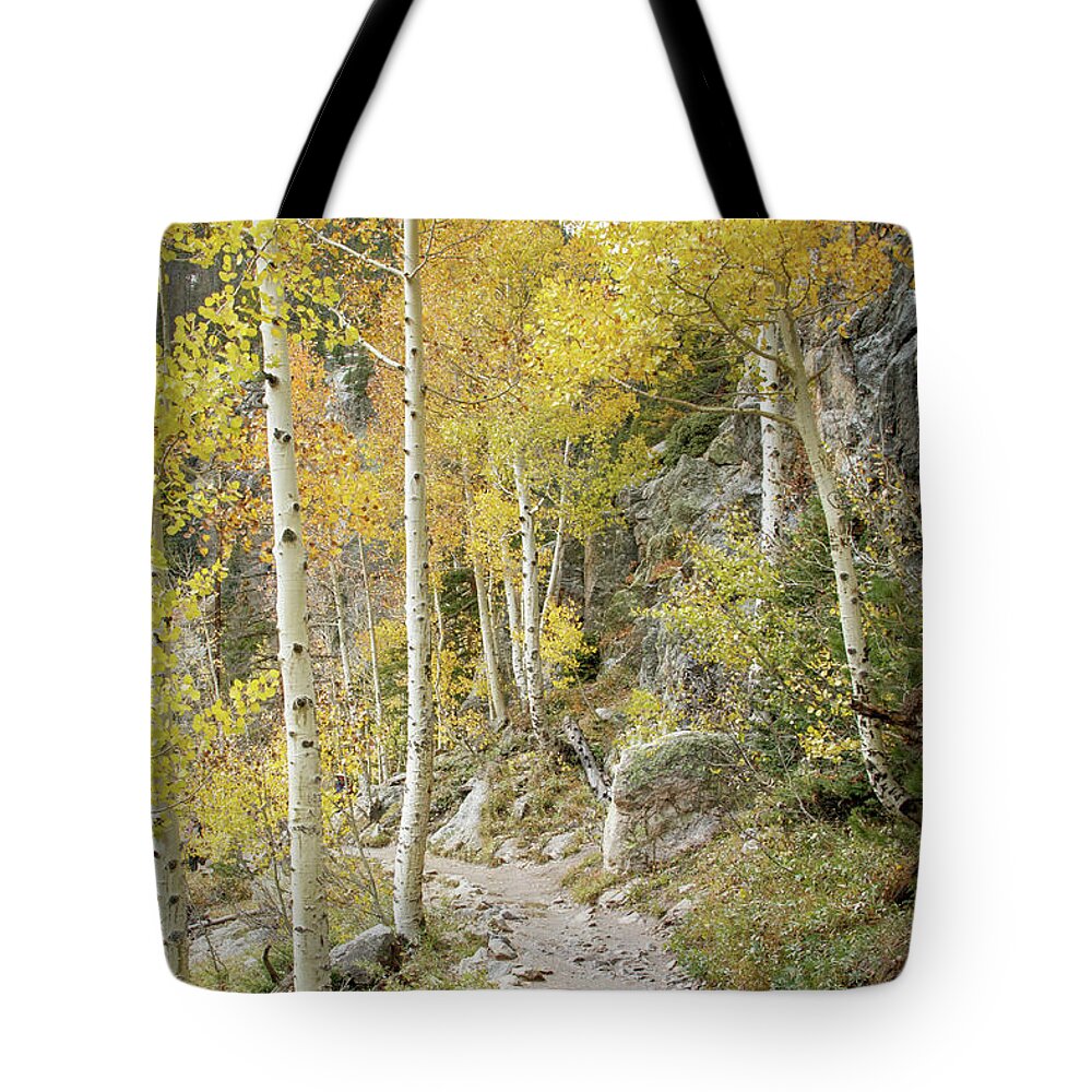 Rocky Mountain National Park Tote Bag featuring the photograph Rocky Mountain Trail by Catherine Avilez