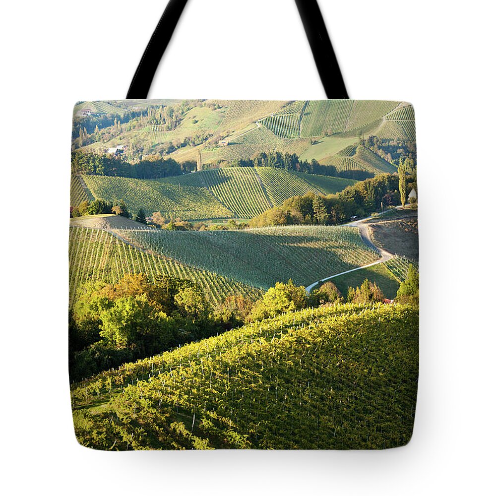 Outdoors Tote Bag featuring the photograph Rolling Hills At A Vineyard In Styria by Seppfriedhuber