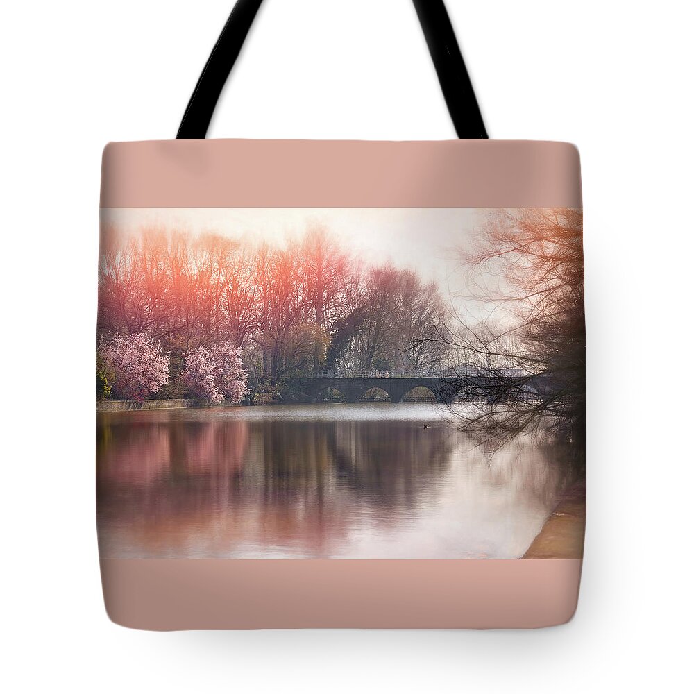 Bruges Tote Bag featuring the photograph Romantic Minnewater Lake Bruges Belgium by Carol Japp