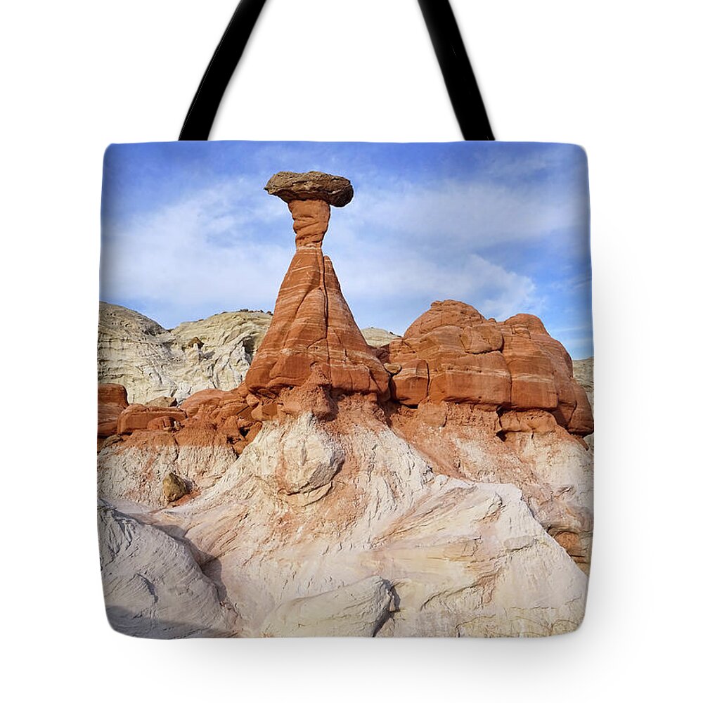 Toadstools Tote Bag featuring the photograph Rooted in Time by Theo O'Connor