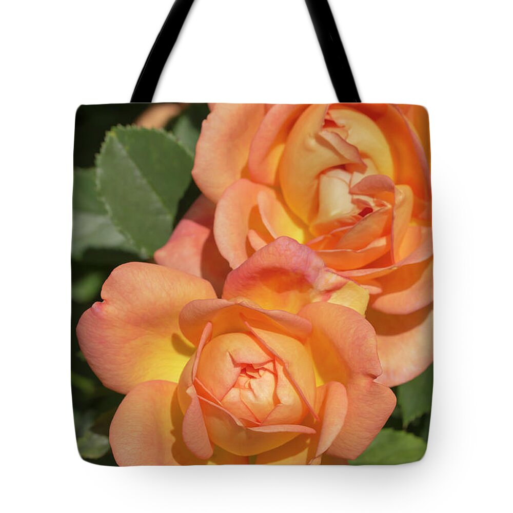 Rose Tote Bag featuring the photograph Rosa Lady Of Shalott by Dawn Cavalieri
