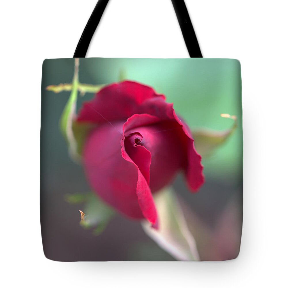 Petal Tote Bag featuring the photograph Rose Bud by Copyright Alex Hughes