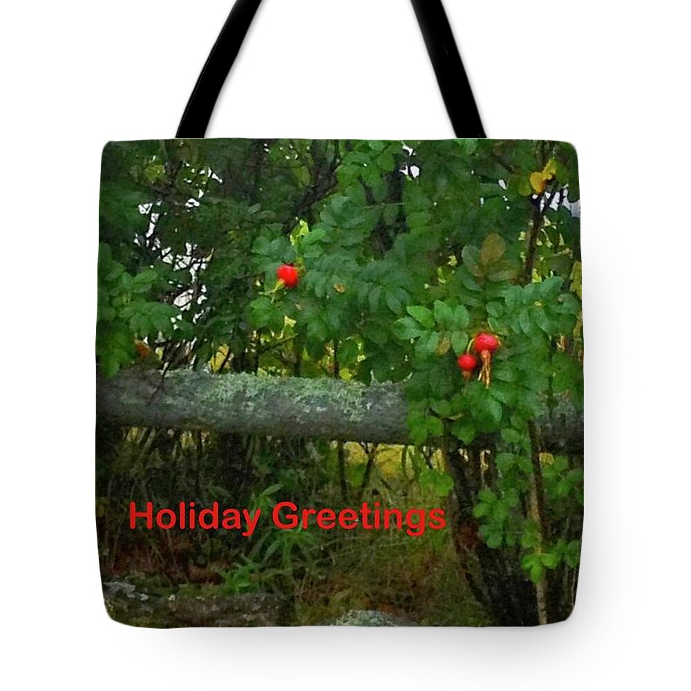 Chirstmas Tote Bag featuring the photograph Rose Hip Holiday by Debra Grace Addison