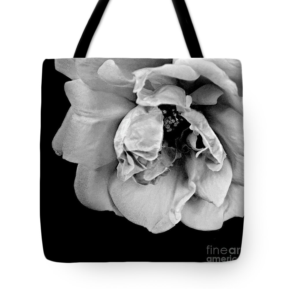 Flowers Tote Bag featuring the photograph Rose in Gray Tone 2 by Dianne Morgado