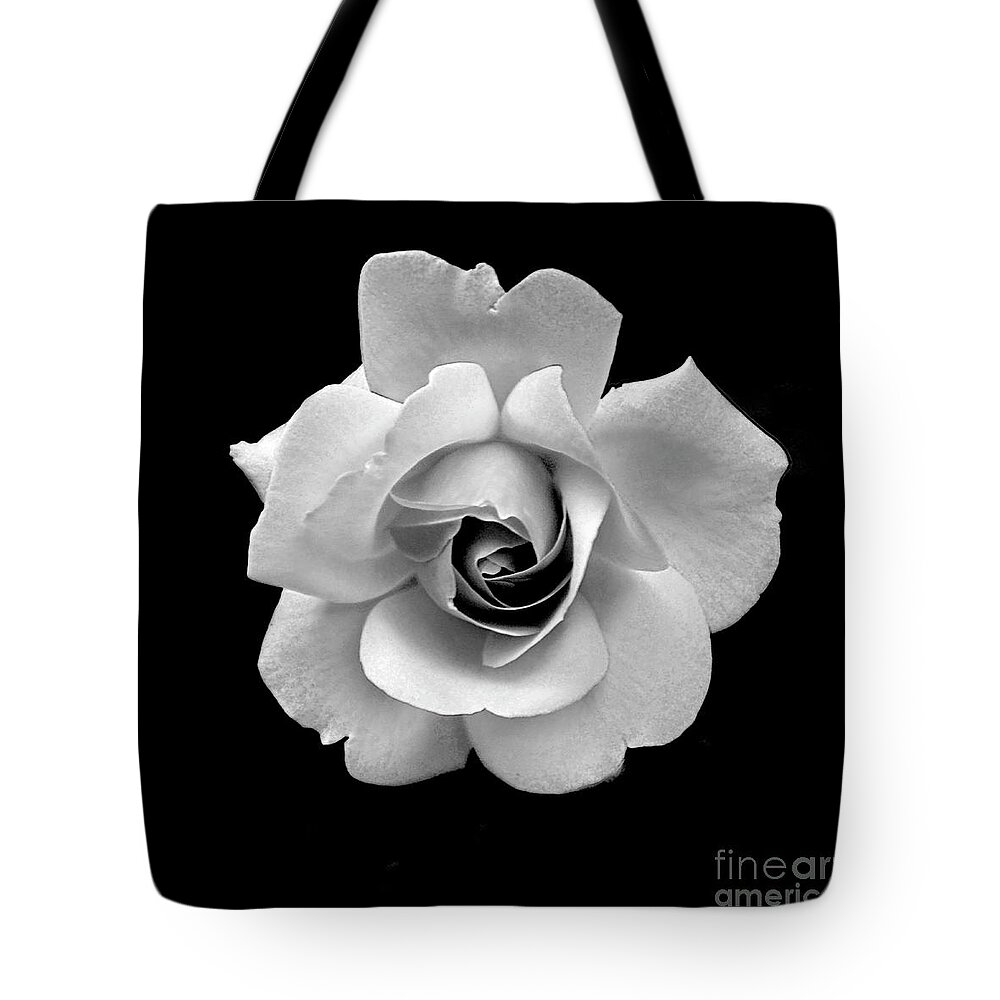 Flowers Tote Bag featuring the photograph Rose in Gray Tone by Dianne Morgado