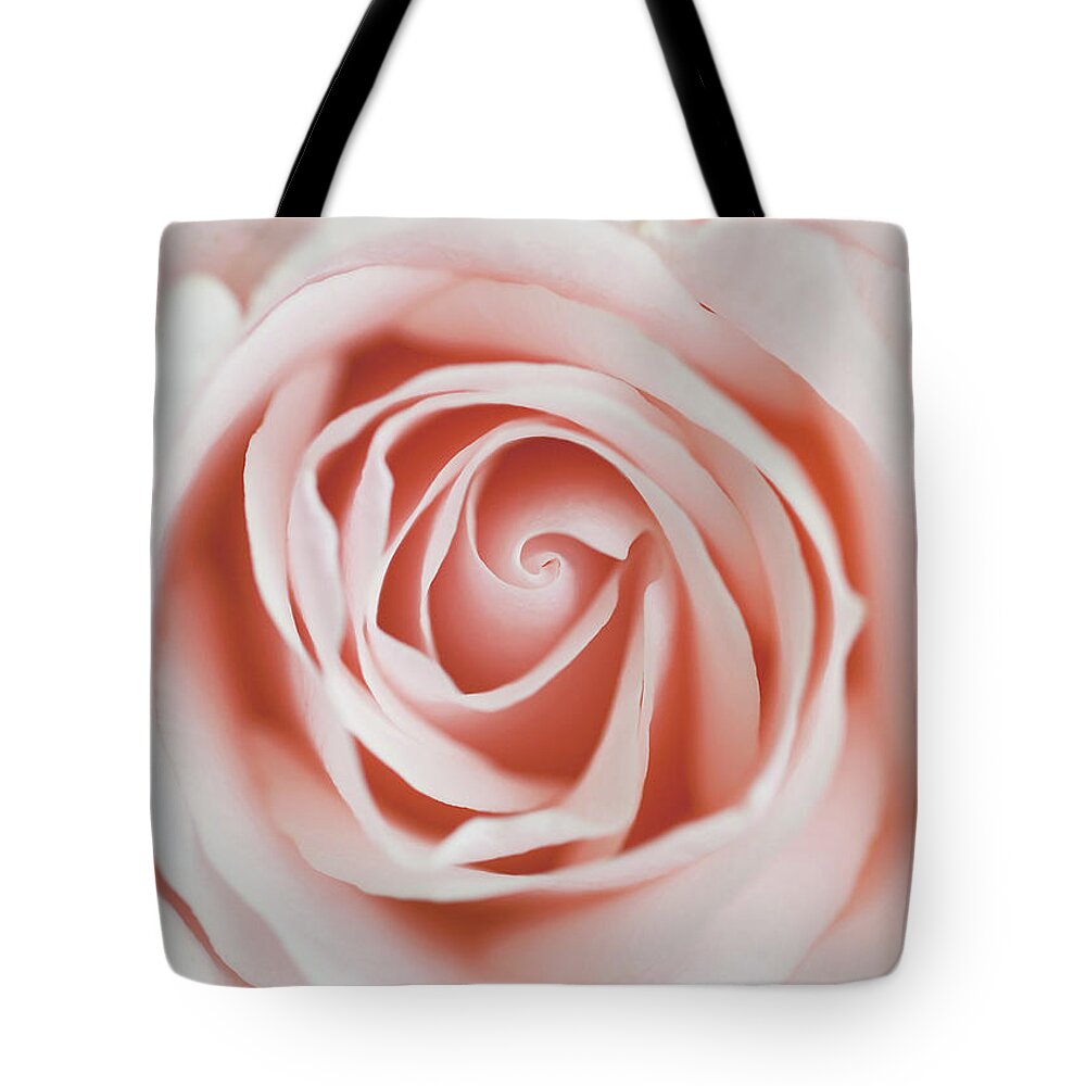 Petal Tote Bag featuring the photograph Rose by Melissa Deakin Photography