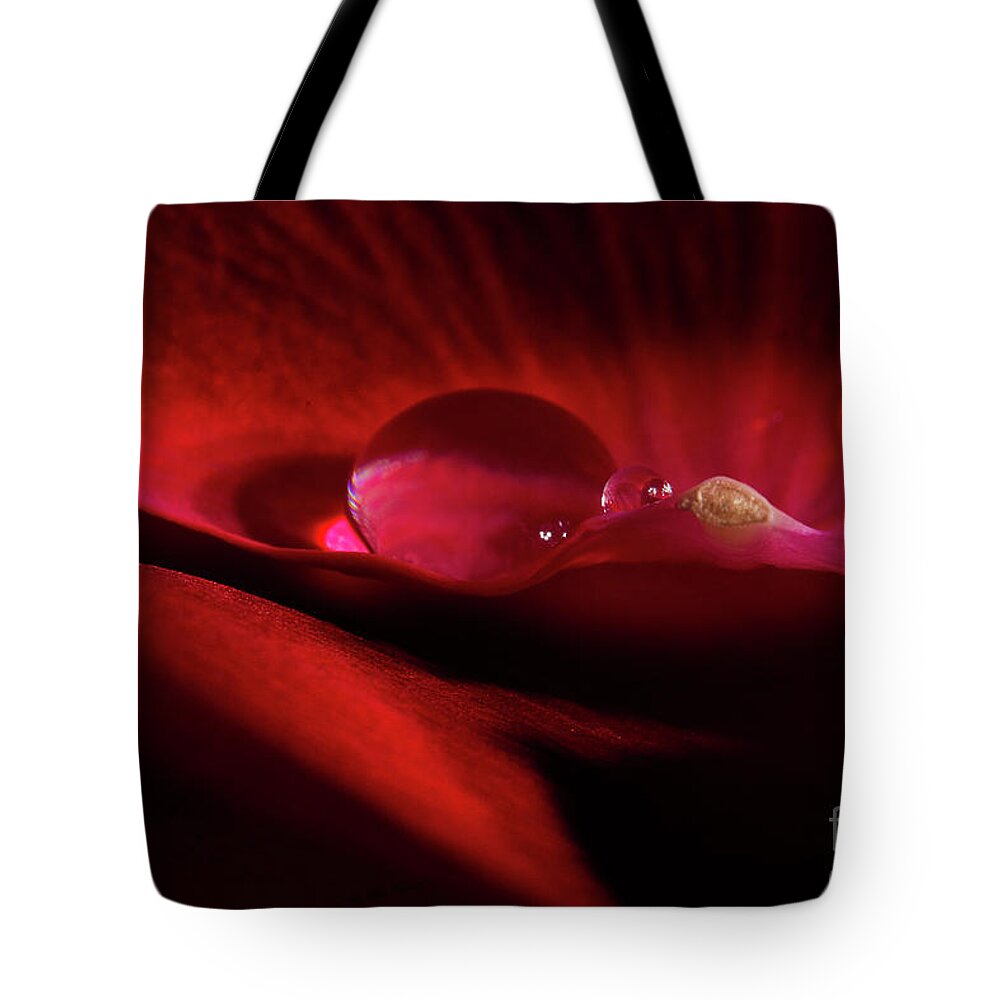 Rose Tote Bag featuring the photograph Rose Petal Droplet by Mike Eingle
