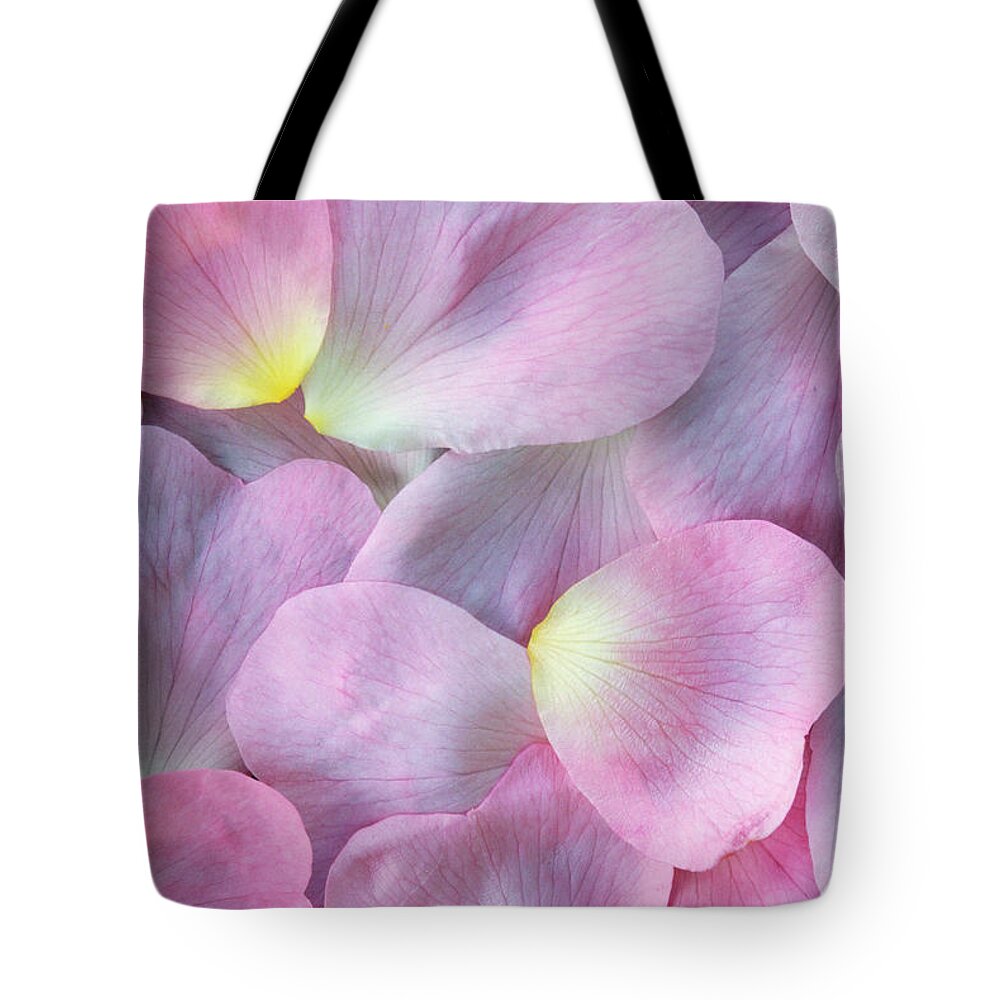 Fragility Tote Bag featuring the photograph Rose Petals by Martin Ruegner