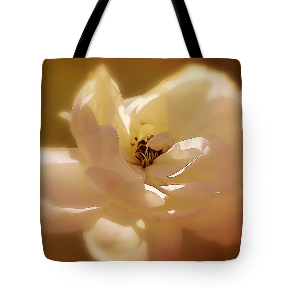 Rose Tote Bag featuring the photograph Rose Soft Sunshine and Shadows by Gaby Ethington