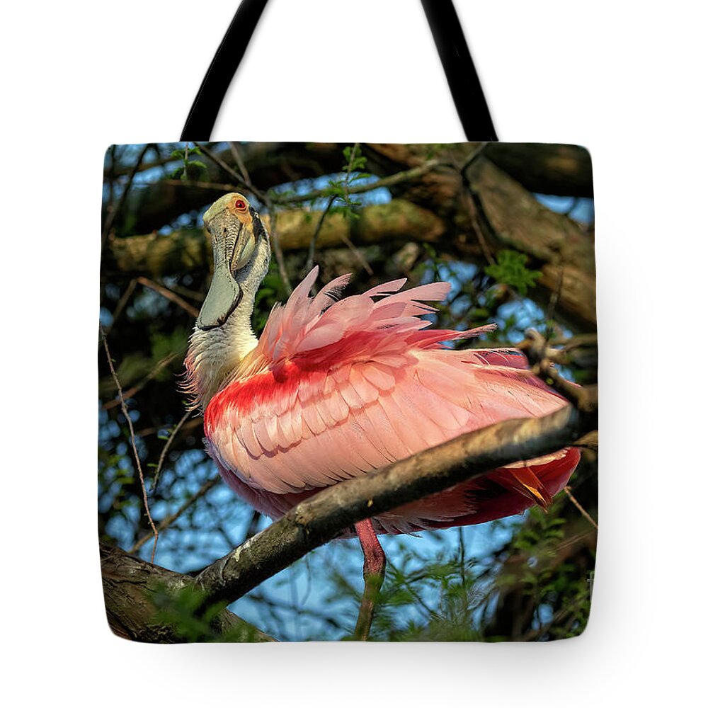 Birds Tote Bag featuring the photograph Roseate Spoonbill Poses  by DB Hayes