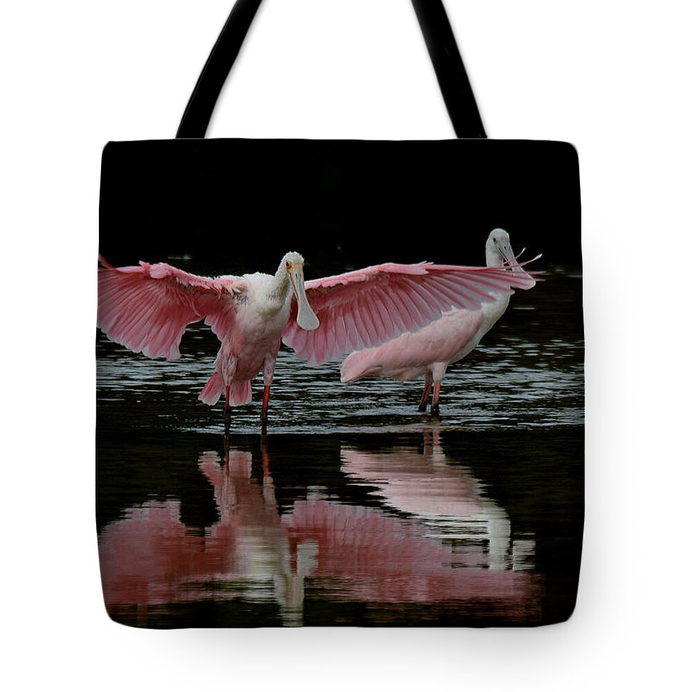 Spoonbill Tote Bag featuring the photograph Roseate Spoonbills by Jim Bennight