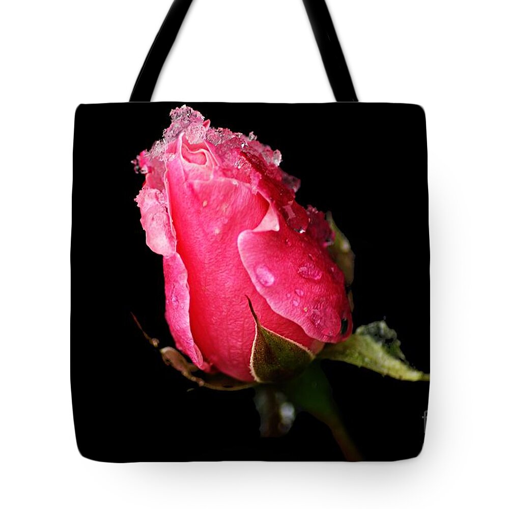 Photography Tote Bag featuring the photograph Rosebud by Larry Ricker