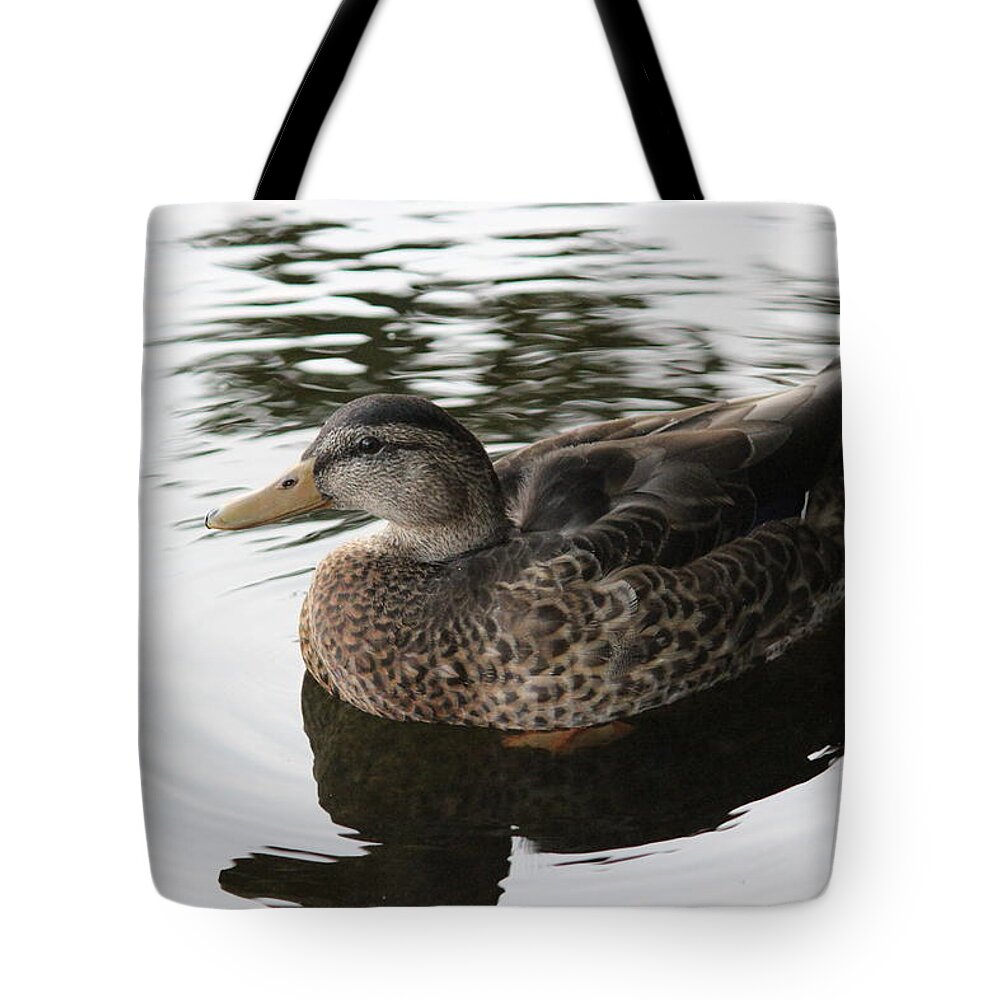 Duck Tote Bag featuring the photograph Royal Duck by Laura Smith