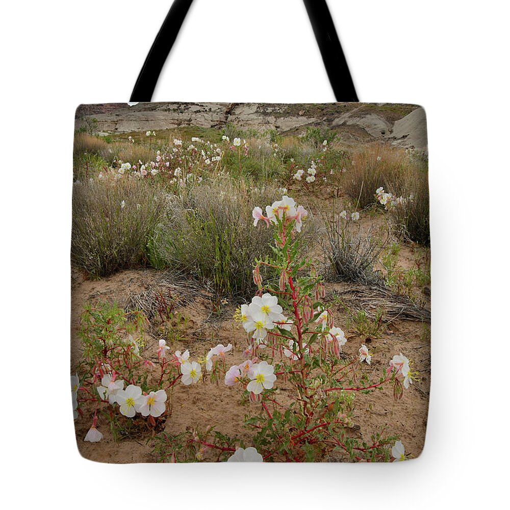Ruby Mountain Tote Bag featuring the photograph Ruby Mountain Desert Rose by Ray Mathis