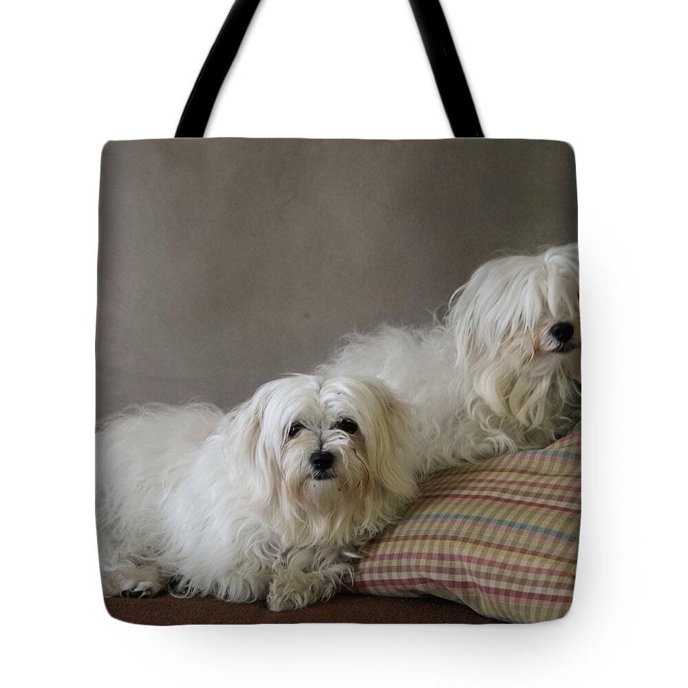 Maltese Tote Bag featuring the photograph Ruffles and His Lady by C Winslow Shafer