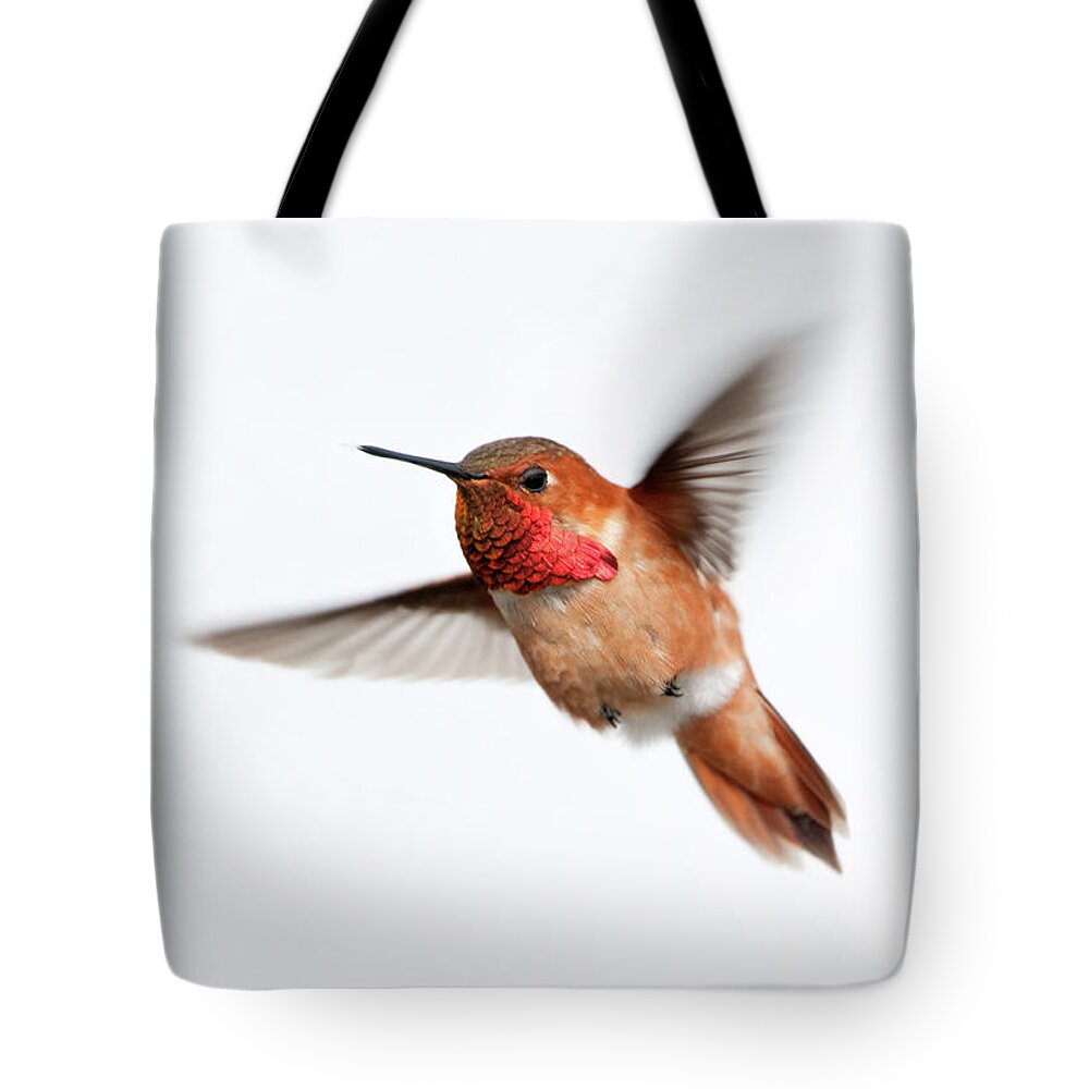 Hanging Tote Bag featuring the photograph Rufous Hummingbird Male - White by Birdimages