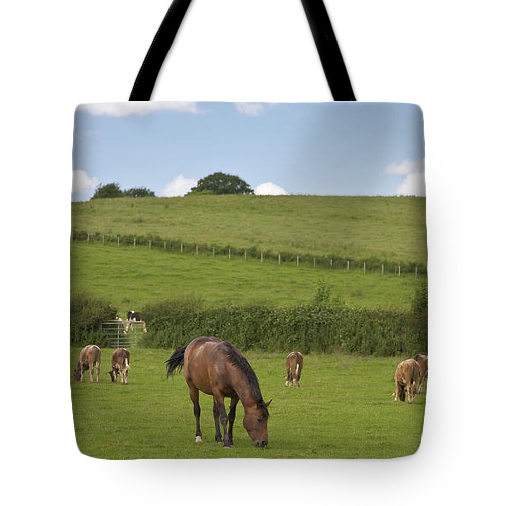 Horse Tote Bag featuring the photograph Rural England by Dageldog