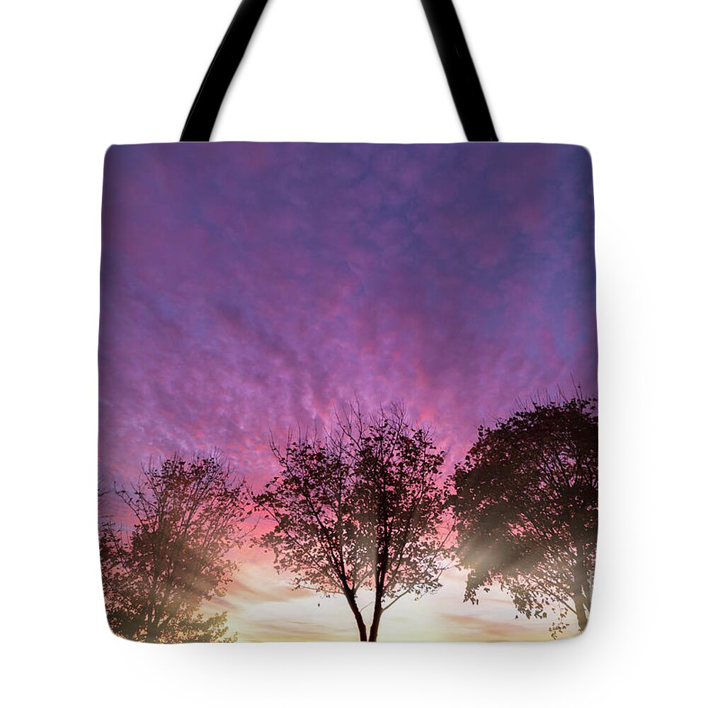 Alone Tote Bag featuring the photograph Rural purple sunset over winter trees by Simon Bratt