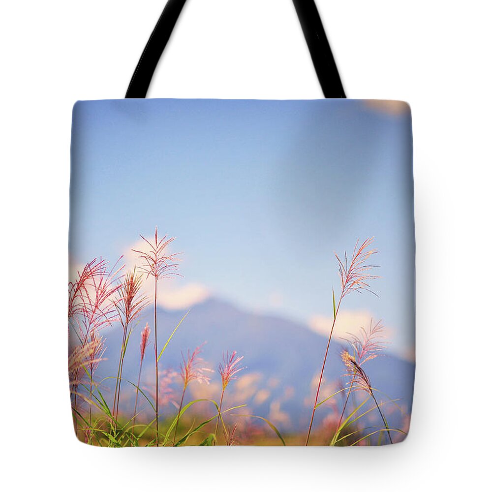 Scenics Tote Bag featuring the photograph Rushes by Photo By Glenn Waters In Japan