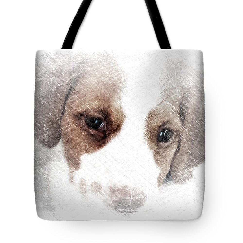 Dog Tote Bag featuring the mixed media Rusty Ray Brittany 5 months by Sherry Hallemeier