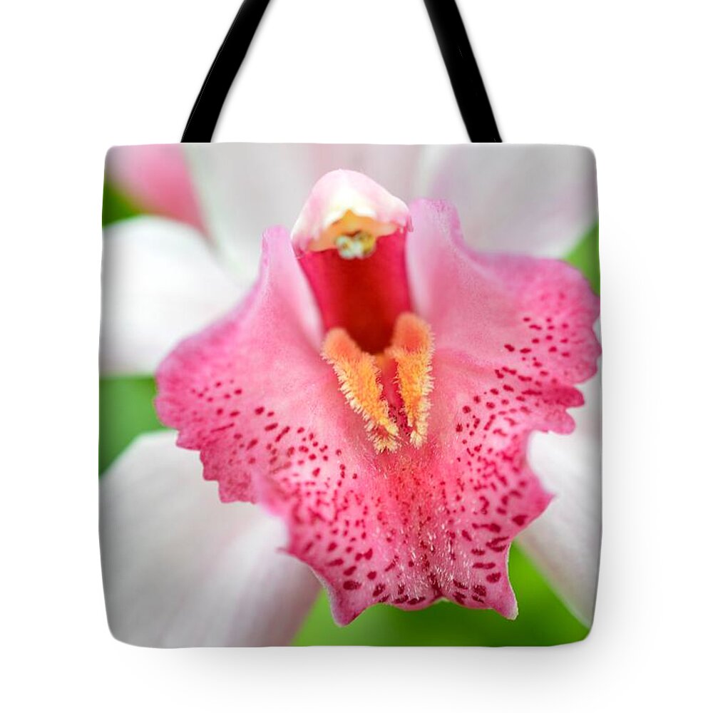 Orchid Tote Bag featuring the photograph Ryath by Shannon Kelly