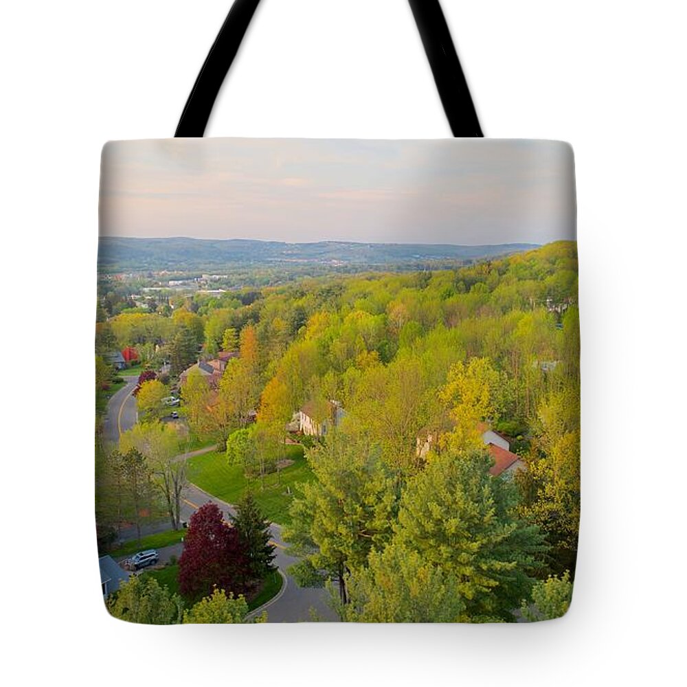 Spring Tote Bag featuring the photograph S P R I N G by Anthony Giammarino