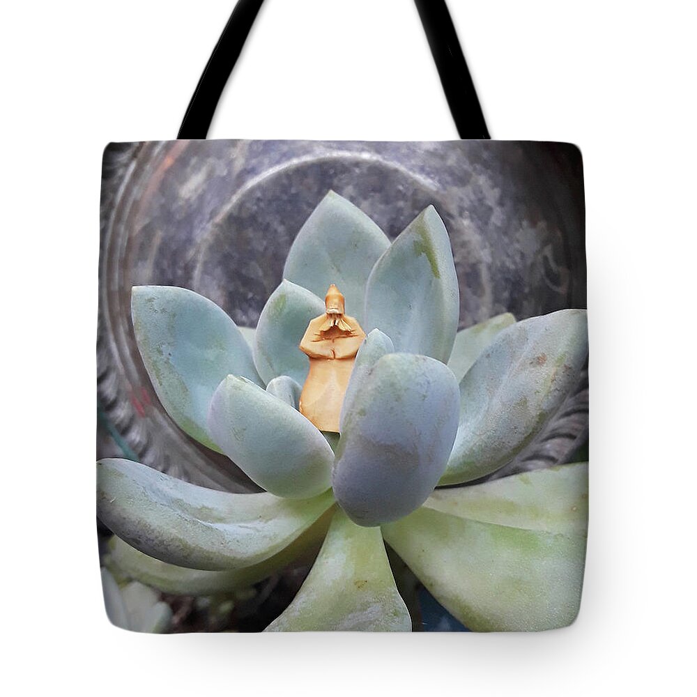 Dudleya Tote Bag featuring the photograph Sage in a Succulent by Ismael Cavazos