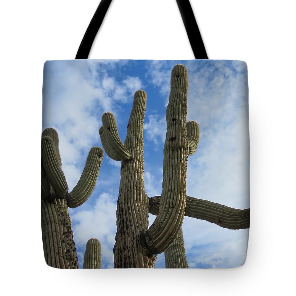Arizona Tote Bag featuring the photograph Saguaro Clique by Judy Kennedy