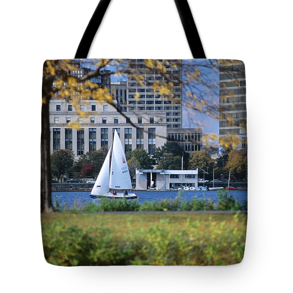 Grass Tote Bag featuring the photograph Sailing Off The Esplanade On The by Lonely Planet