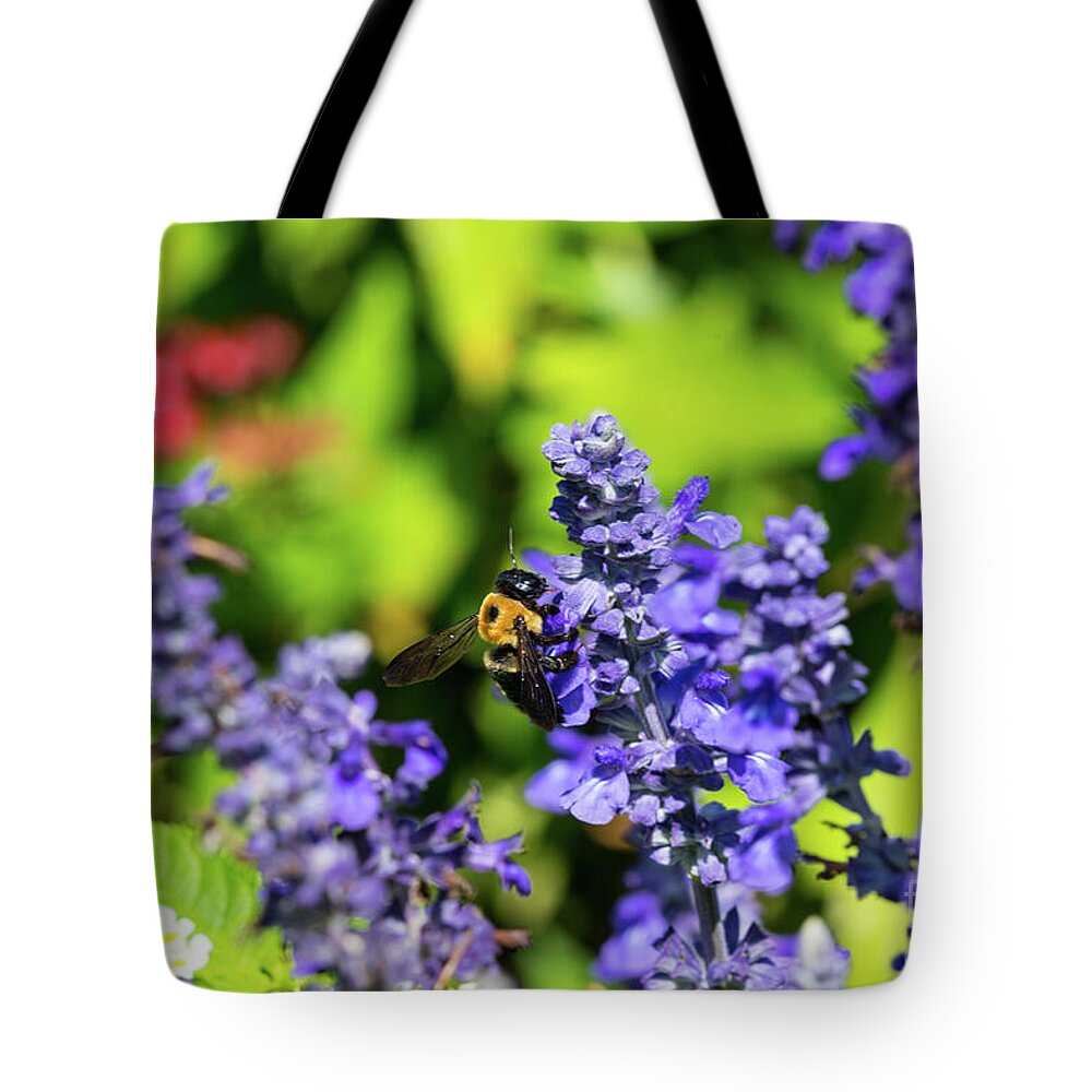 Bumblebee Tote Bag featuring the photograph Salvia With Bumblebee by Jennifer White