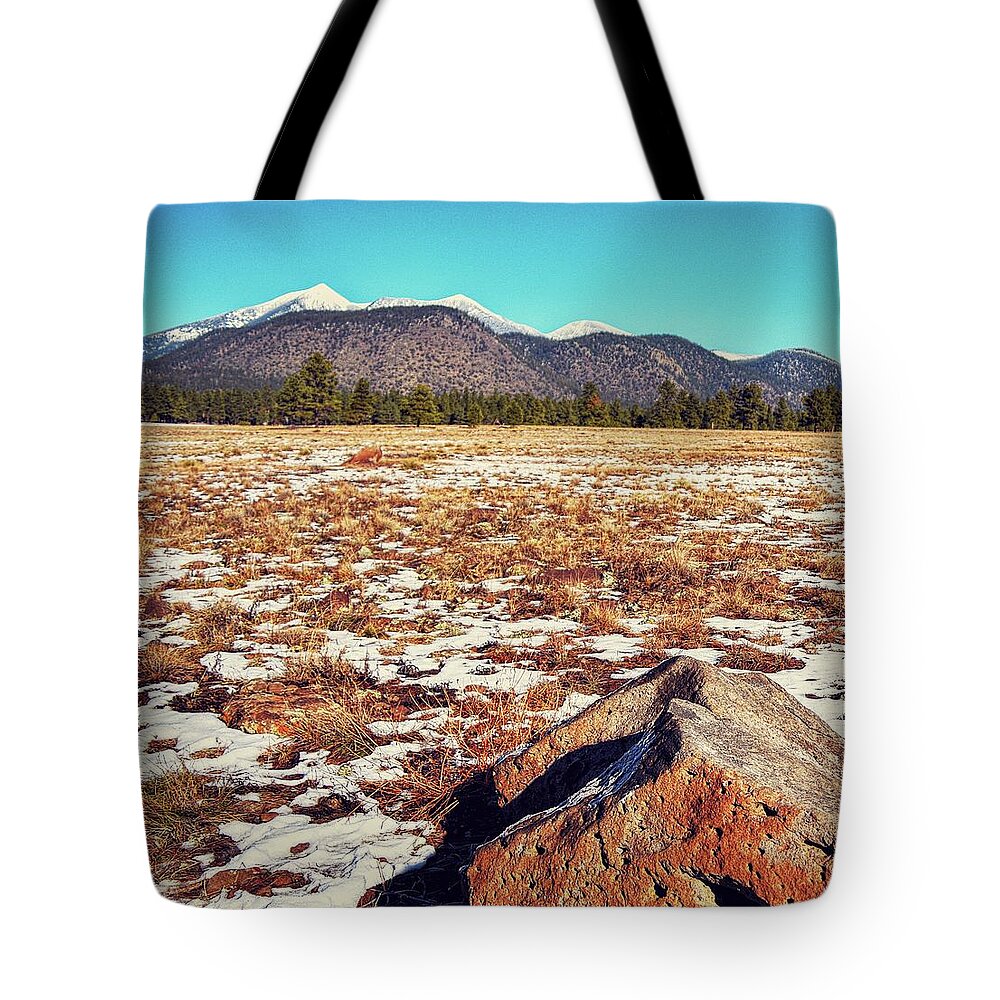 Flagstaff Tote Bag featuring the photograph San Francisco Peaks Winter by Chance Kafka
