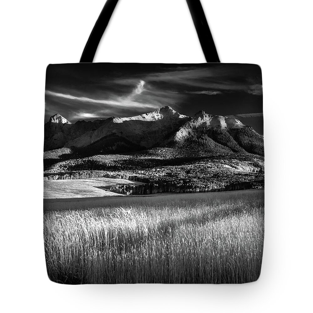 Aspens Tote Bag featuring the photograph San Juan Gold Grass ii by Johnny Boyd